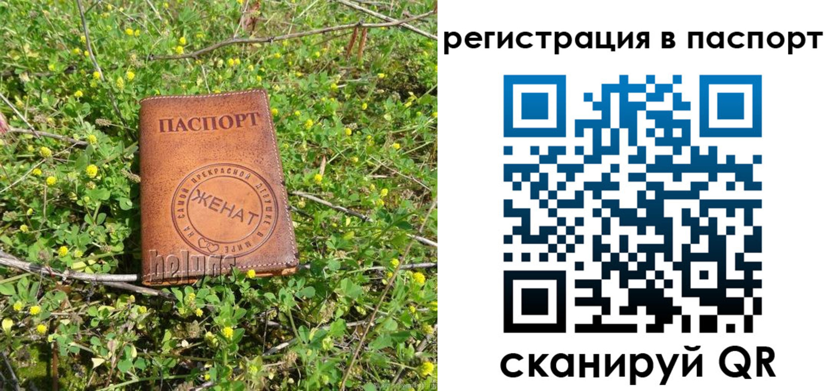 прописка законно в Златоусте
